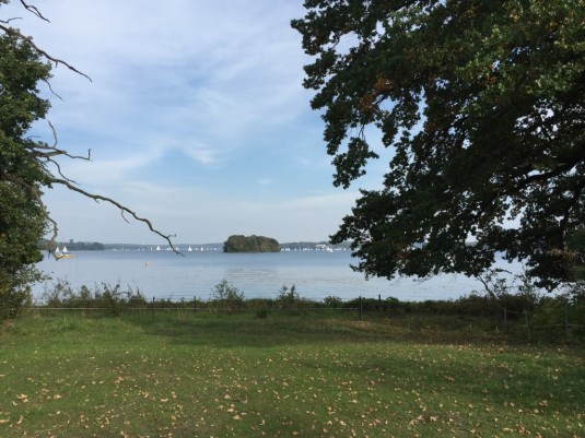 Blick von der Insel auf die Havel