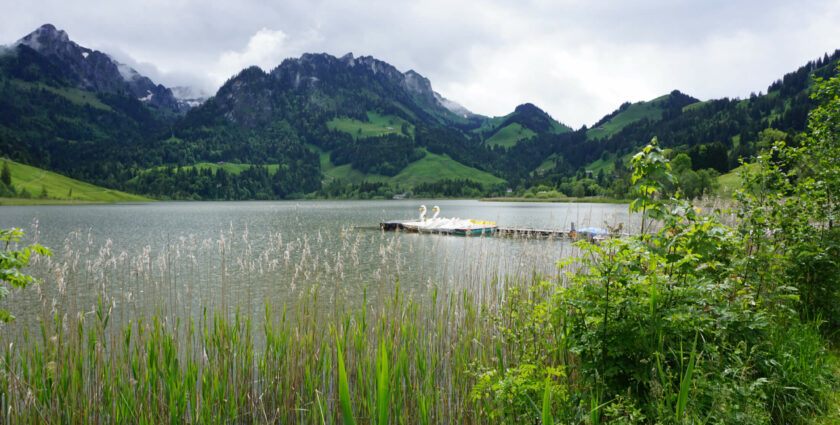 Schwingen, wandern und entspannen in Schwarzsee
