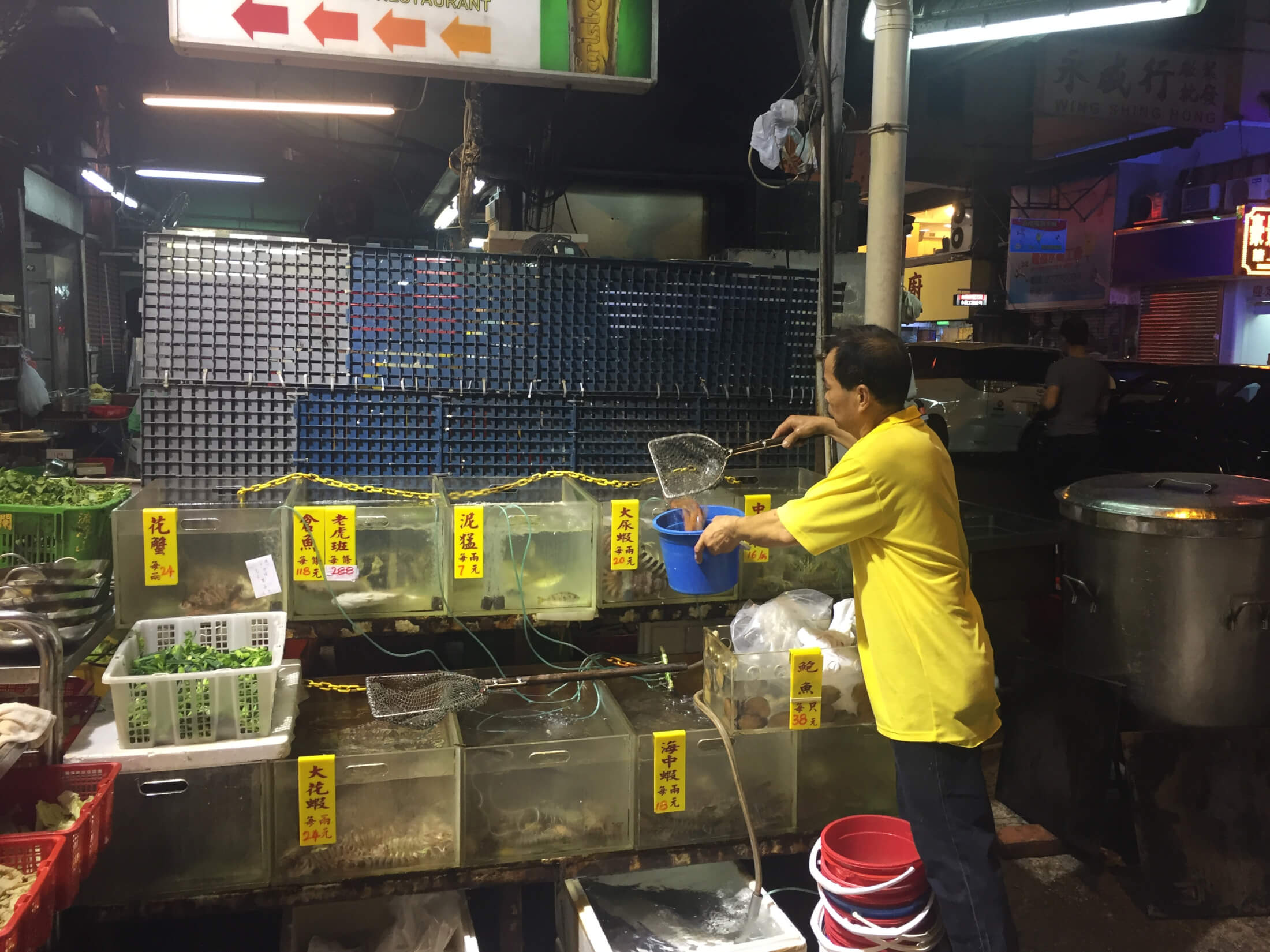 hongkong aquarium fisch frisch markt