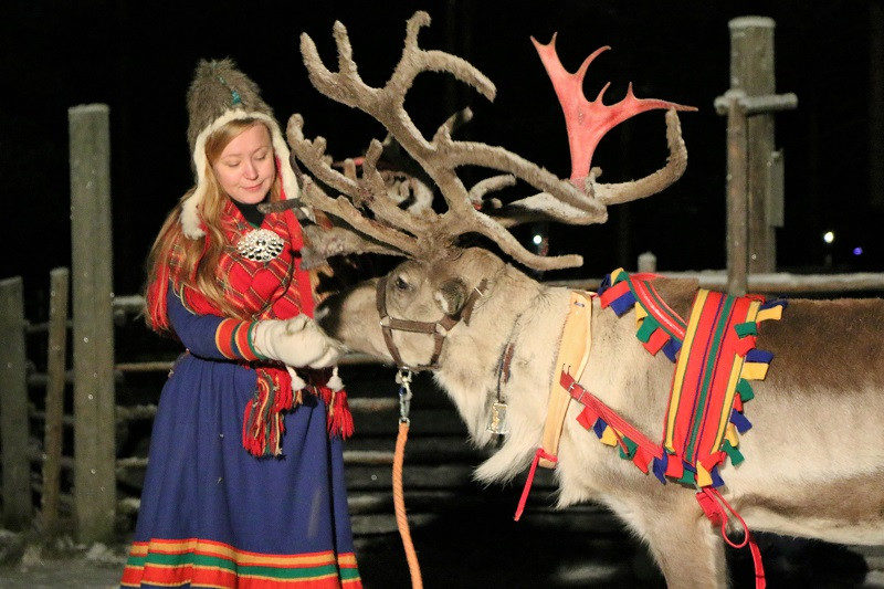 Lappland Tradition Rentier Samen