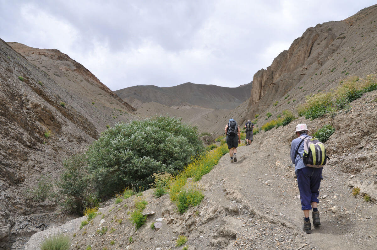 lamayuru tibet kashmir jammu indien wandern gebirge anstieg natur Ladakh
