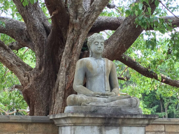 Sri-Lanka-Reise-Statuen-Buddha-Sehenswürdigkeiten
