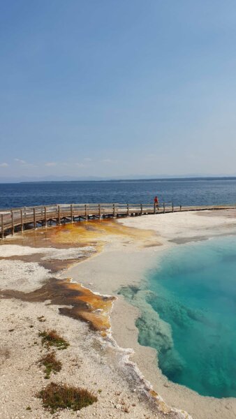 Legende: Zwischen Süsswasserseen und Schwefelquellen im Norris Geyser Basin.