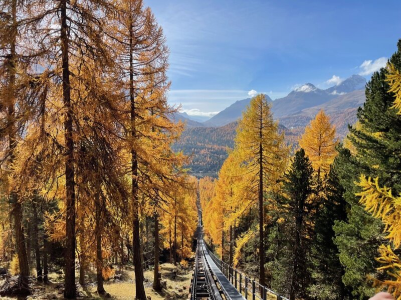 Der Herbst leuchtet im Engadin – wie hier auf dem Weg auf Muottas Muragl